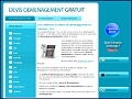 Dtails du site www.devis-demenagement-gratuit.fr